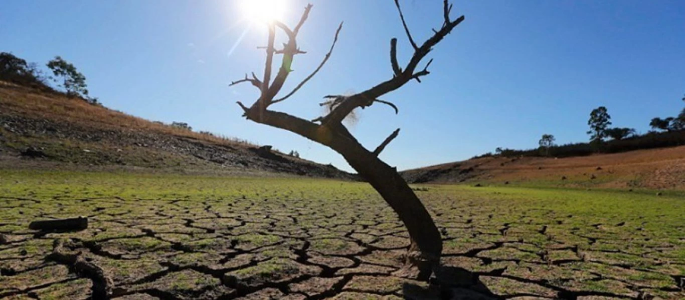 Τι προκάλεσε τη μεγαλύτερη εξαφάνιση των ειδών στον κόσμο